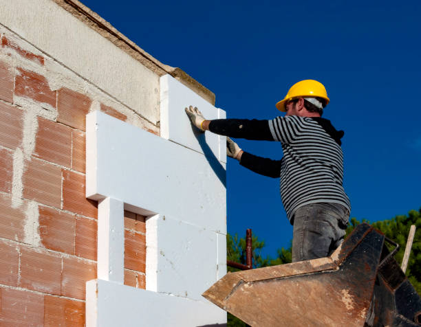 Best Blown-in Insulation in Ocean View, DE