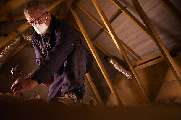 Best DIY Insulation Kits and Guidance in Ocean View, DE
